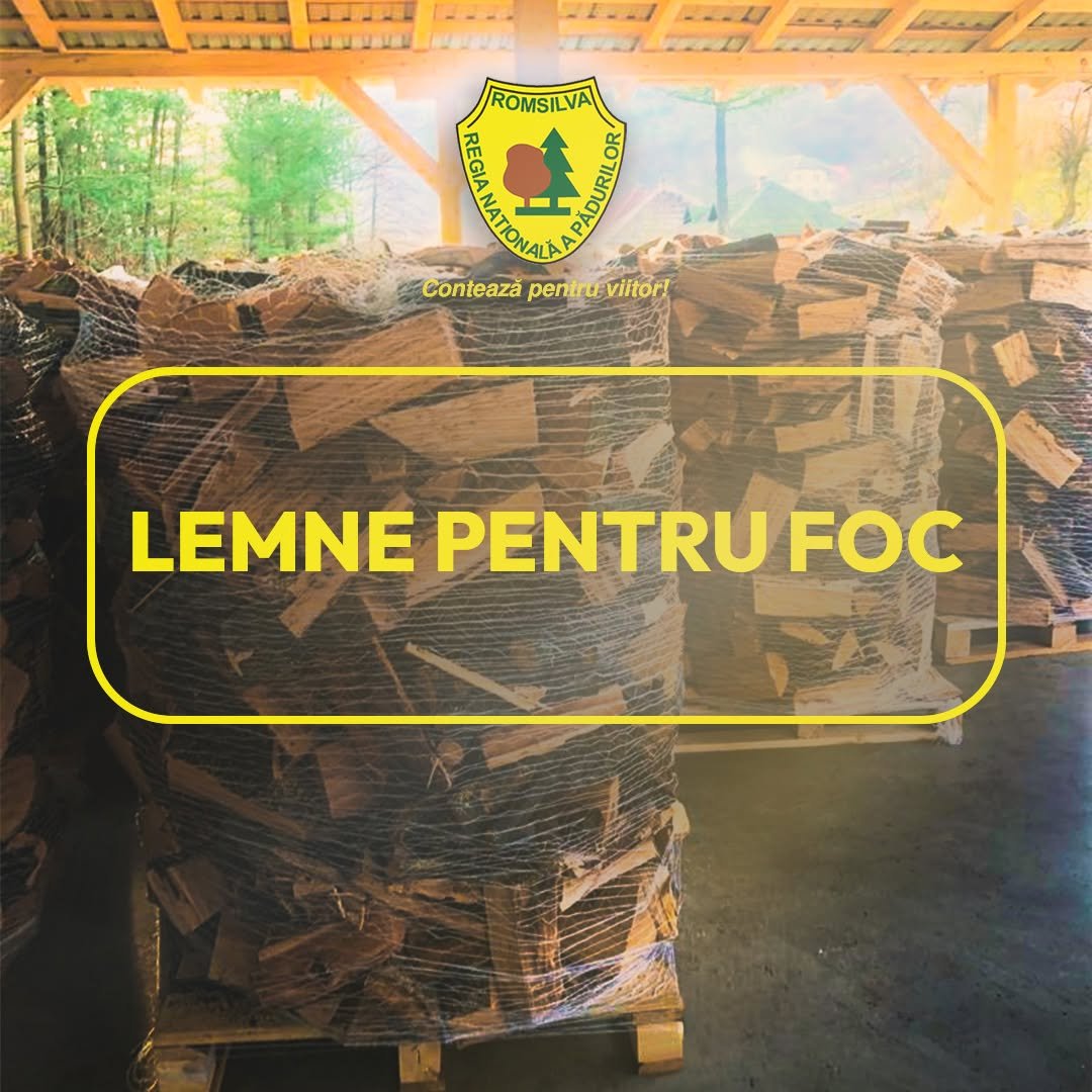Romsilva oferă circa 2 milioane de metri cubi de lemn pentru foc în 2026, la prețuri similare cu anul trecut