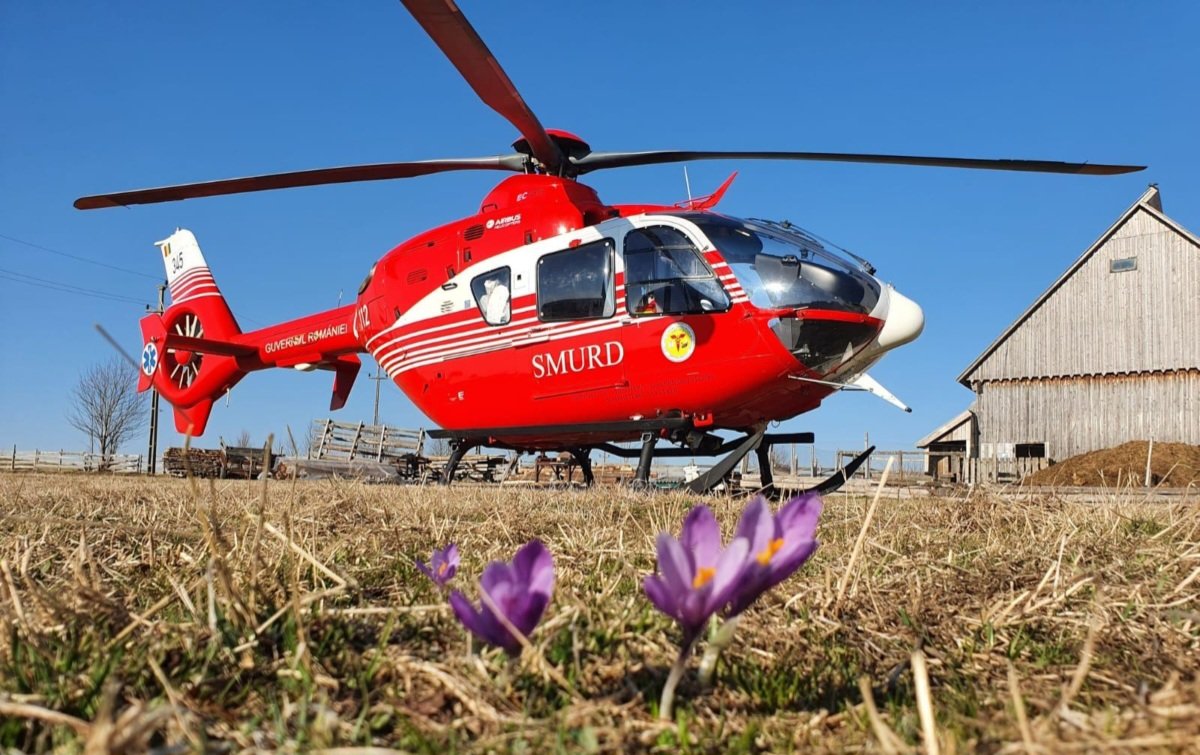 Runcu Salvei: bărbat de 46 de ani, rănit în pădure după ce un lemn i-a căzut peste picior