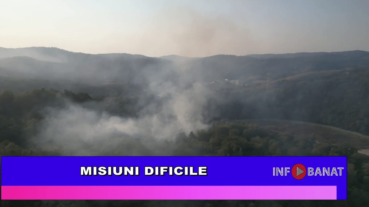 Sacu: bărbat de 83 de ani găsit carbonizat după un incendiu de vegetație în Caraș-Severin