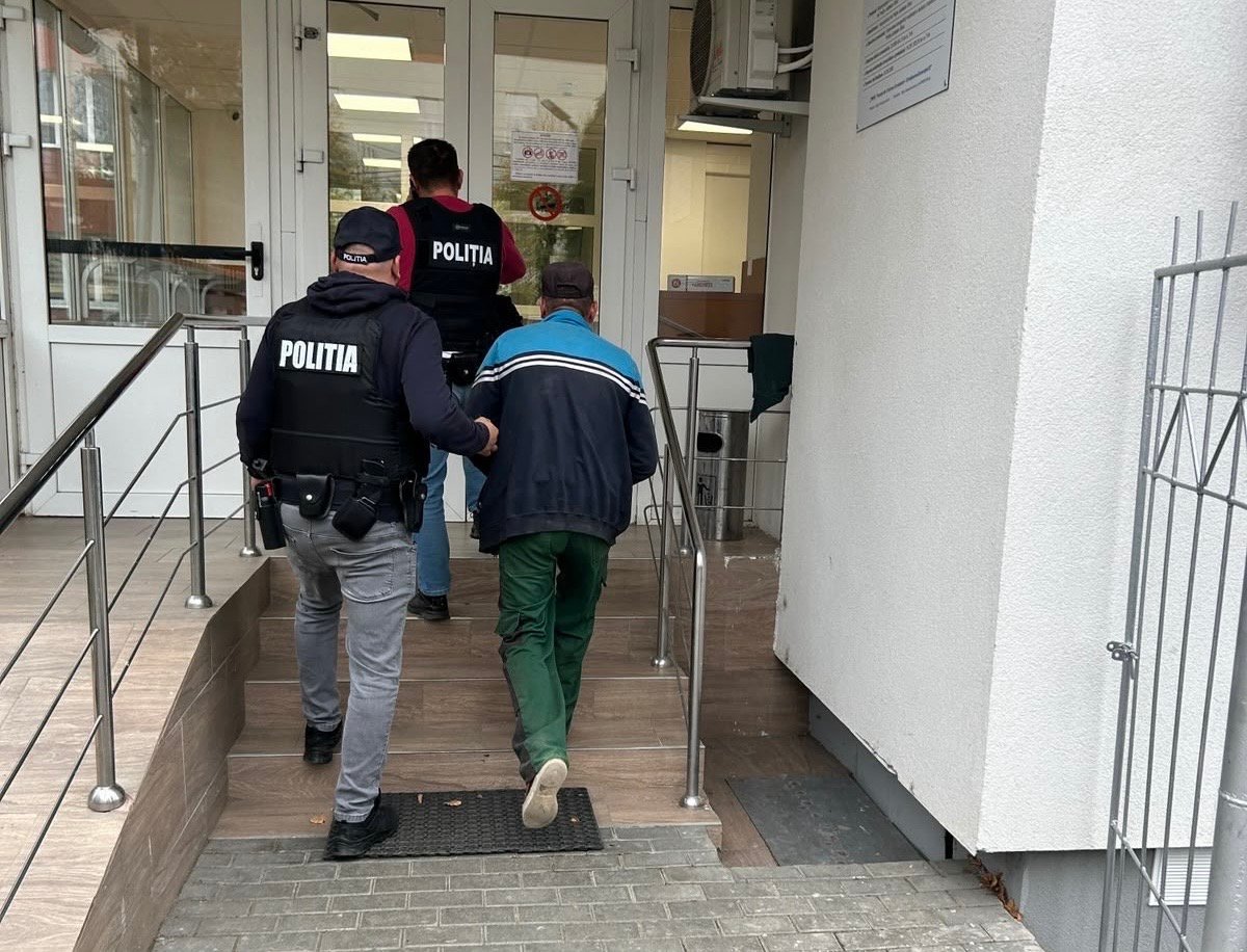 Sadu: bărbat reținut după ce ar fi aruncat un cățel într-un sac în râul Sadu