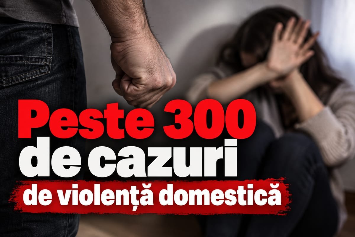 Sălaj: 309 fapte de violență domestică în primele nouă luni, cu 3,3% mai multe decât anul trecut