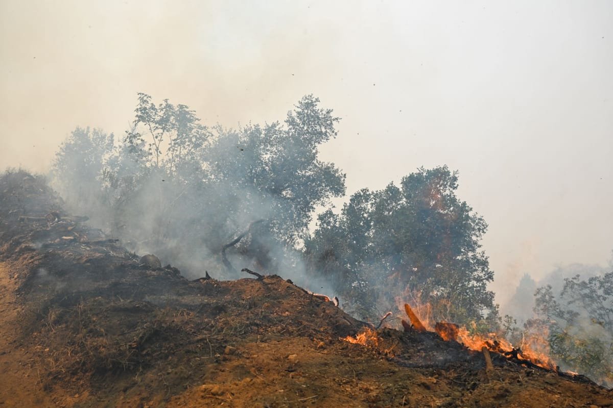 San Clemente: incendiul Norte a cuprins cel puțin șase proprietăți de lux și amenință San Juan Capistrano