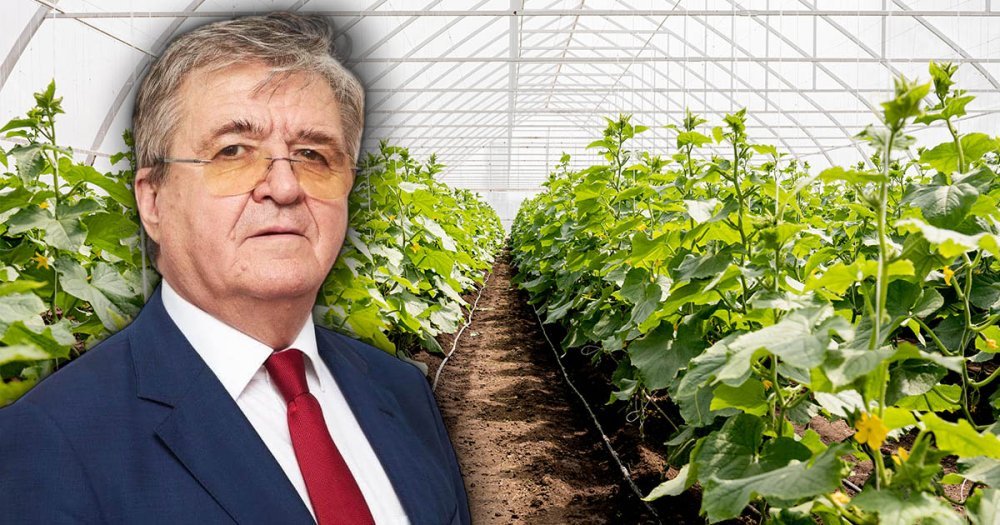 Satu Mare: Mircea Govor anunță schimbări la vârful Guvernului și subvenții mai mari pentru căpșunari