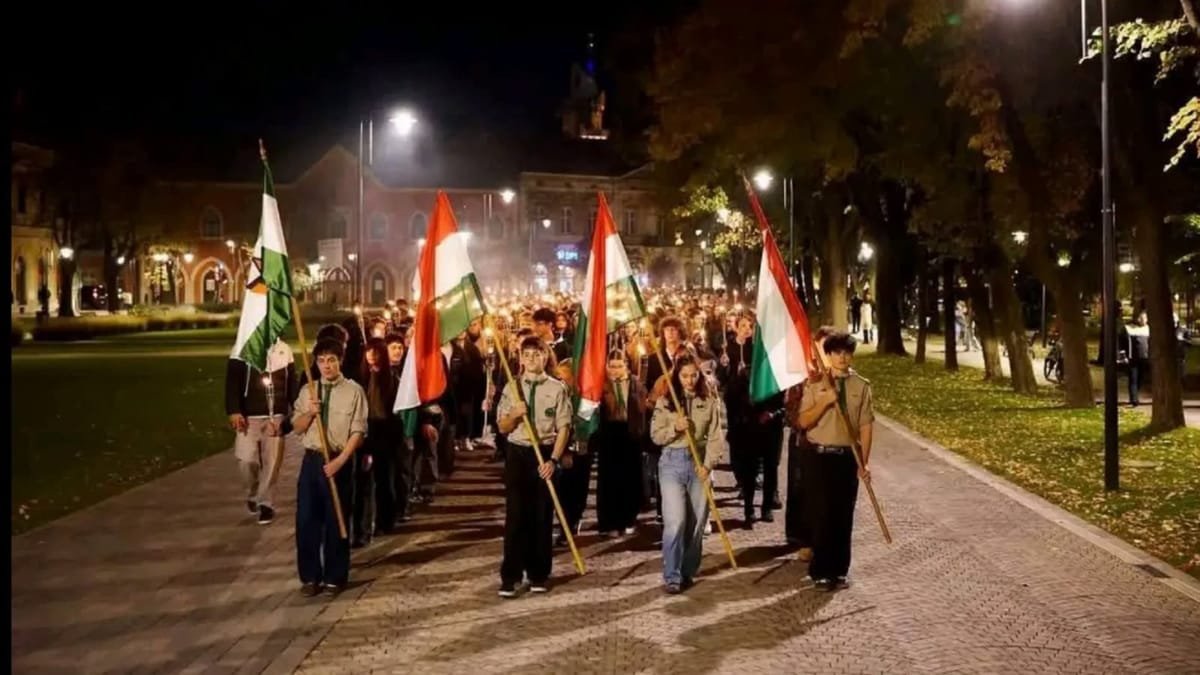 Satu Mare: PNL și UDMR s-au încăierat după un marș comemorativ în care lipsea drapelul României