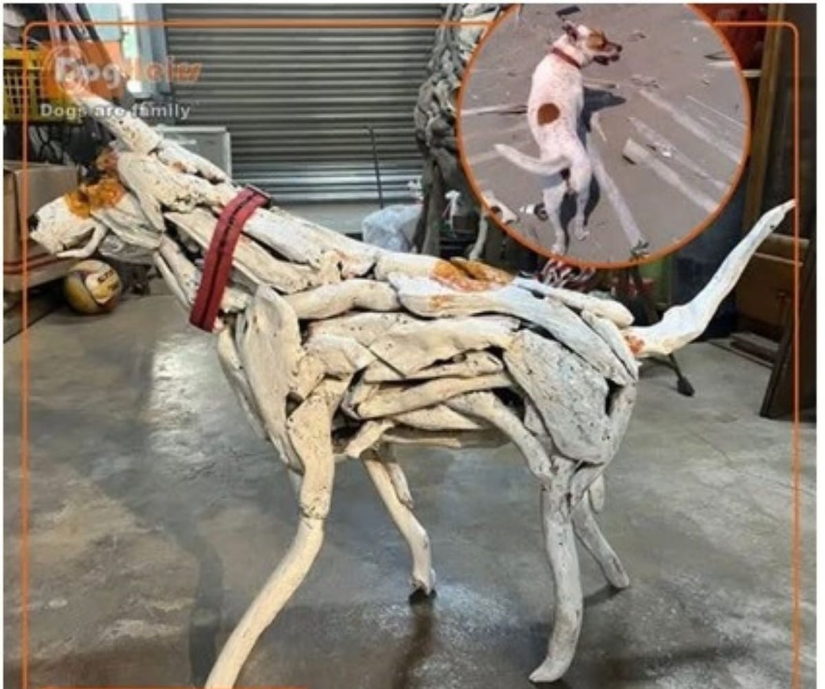 Sculptorul taiwanez Liang Renchuan a reconstruit din lemn adus de mare câinele său, Hachiko