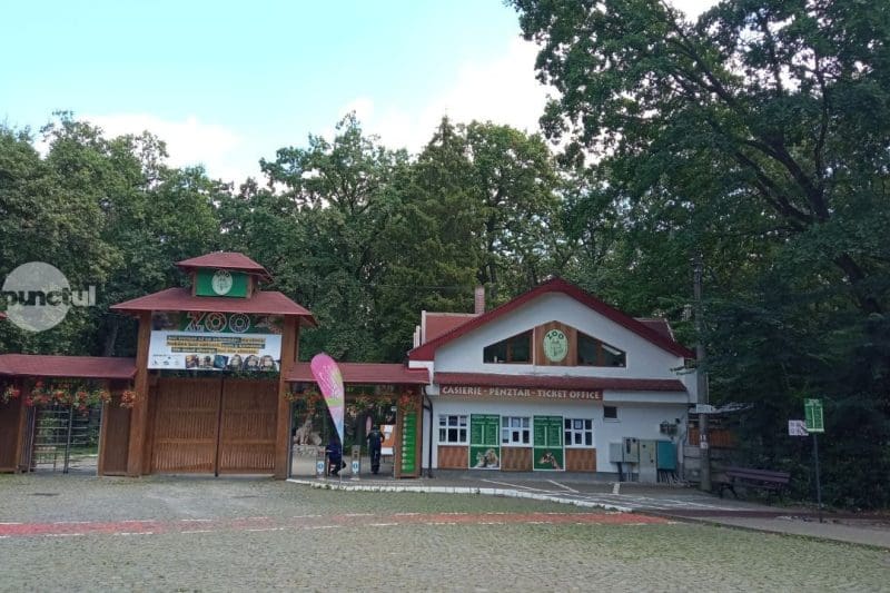 Scumpiri la Grădina Zoo, dar nu și la biletul de intrare, de frica gestionării banilor