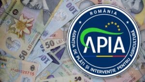 Se dau ajutoarele APIA pentru sectoarele bovin şi suin