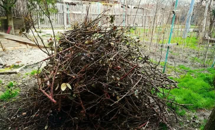Se pregăteşte campania de toamnă pentru colectarea resturilor vegetale la Remetea Mare