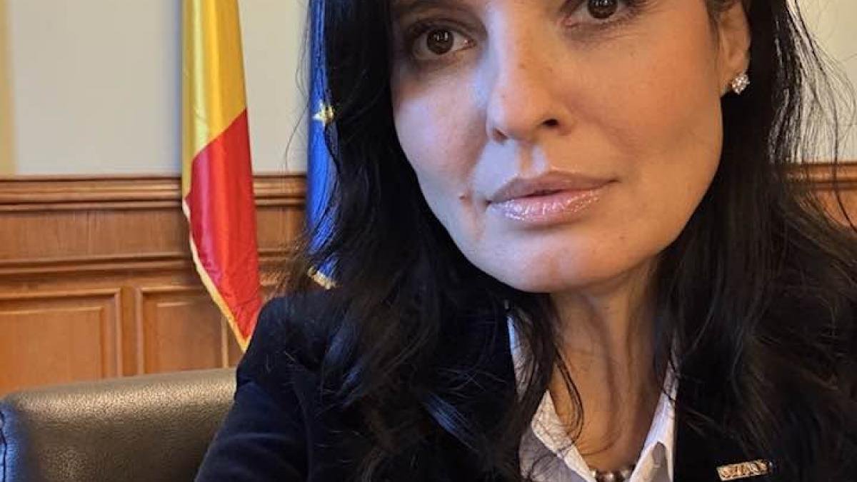 Sediul PUCL: Lavinia Șandru îl acuză pe Reșitnec că folosește funcția într-o luptă politică cu USR