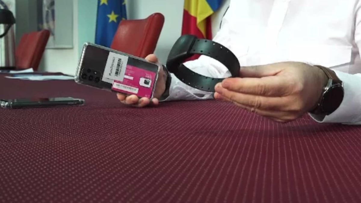 Șeitin: agresorii copilului au fost puși sub control judiciar și cu brățară de monitorizare
