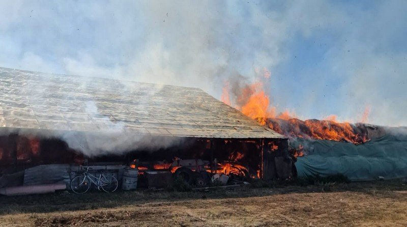 Sinersig: incendiu la o fermă de ovine, sute de baloți de furaje mistuiți, peste 600 de oi în pericol