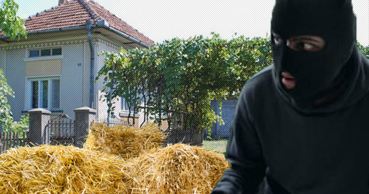 Socond: minor de 17 ani, acuzat că a furat noaptea o drujbă de 2.350 de lei dintr-o casă