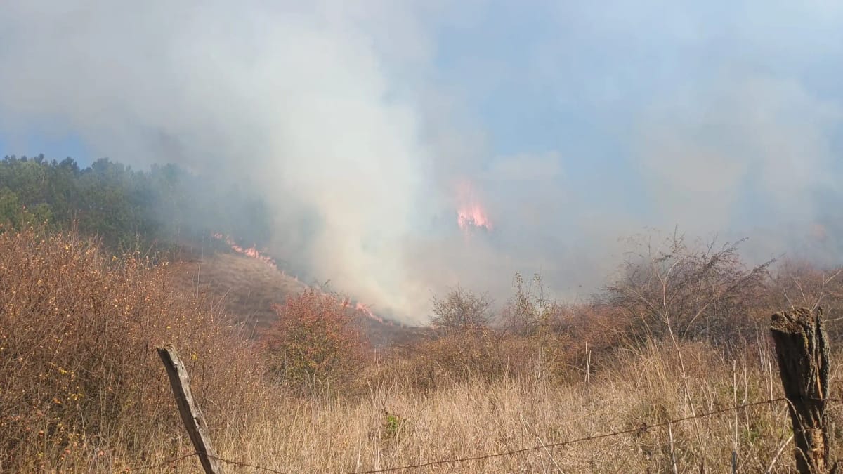 Stupini, Bistrița-Năsăud: 7 hectare de teren cuprinse de flăcări, vântul favorizează extinderea