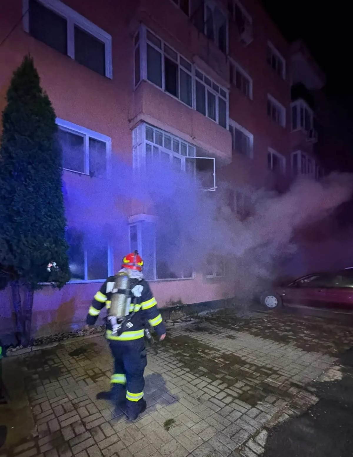 Șuncuiș, Bihor: incendiu la anexele unei gospodării, stins în 25 de minute, salvați cinci porci