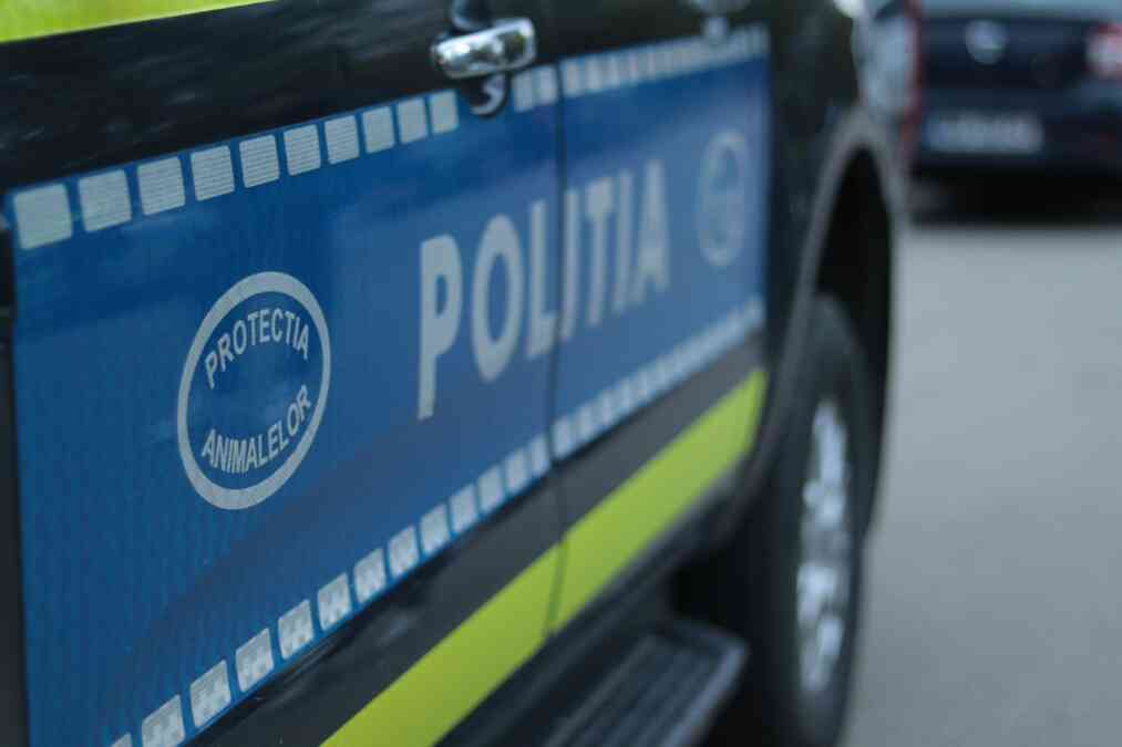 Sute de sancțiuni aplicate de Poliția Animalelor proprietarilor de câini din județ! A fost întocmit și un dosar penal