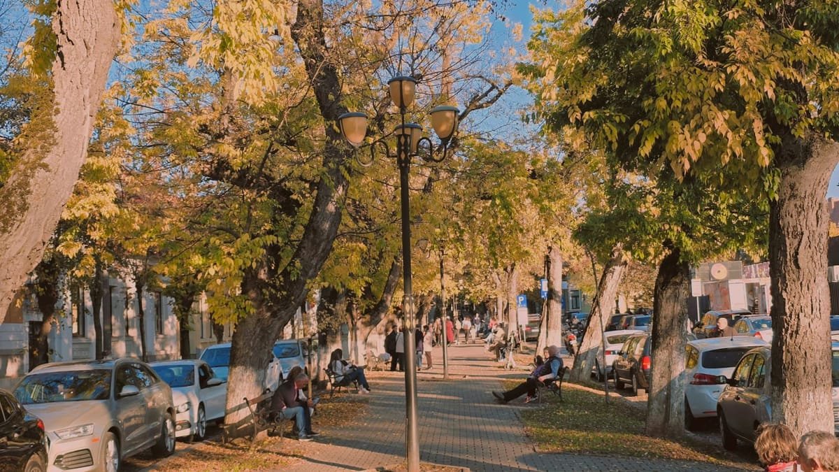 Târgu Mureș: Consiliul a aprobat rectificarea bugetului, cu peste 310 milioane de lei pentru dezvoltare