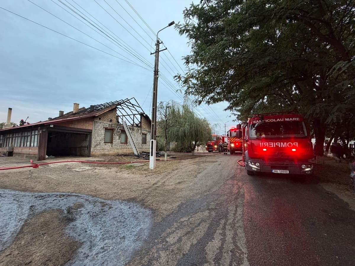 Timiș: peste 170 de intervenții ale pompierilor în 48 de ore, inclusiv 6 incendii de vegetație uscată