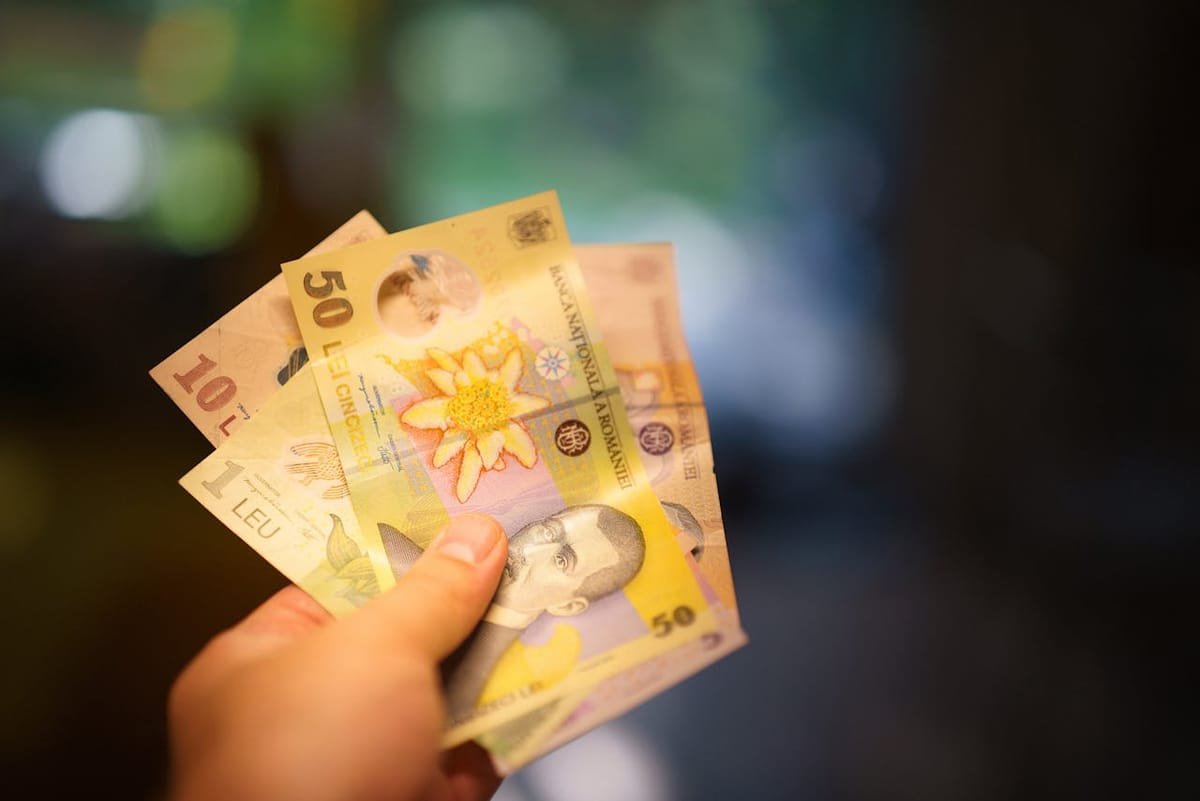Timiș: tinerii sub 30 de ani la primul loc de muncă primesc 1.000 de lei lunar, în primul an