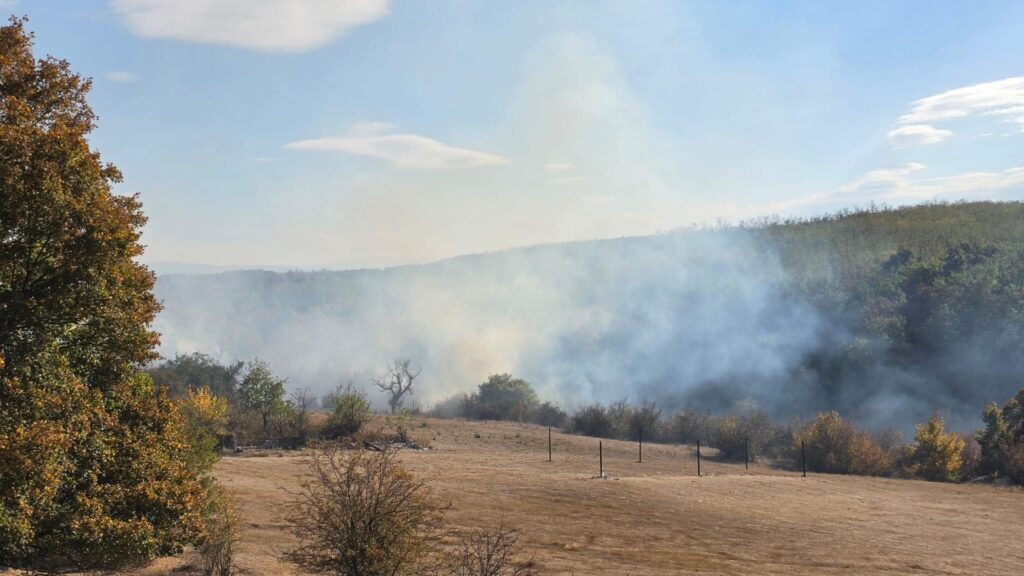 Știuca: incendiu de vegetație pe aproximativ 100 de hectare, extins și în Poligonul militar (VIDEO)