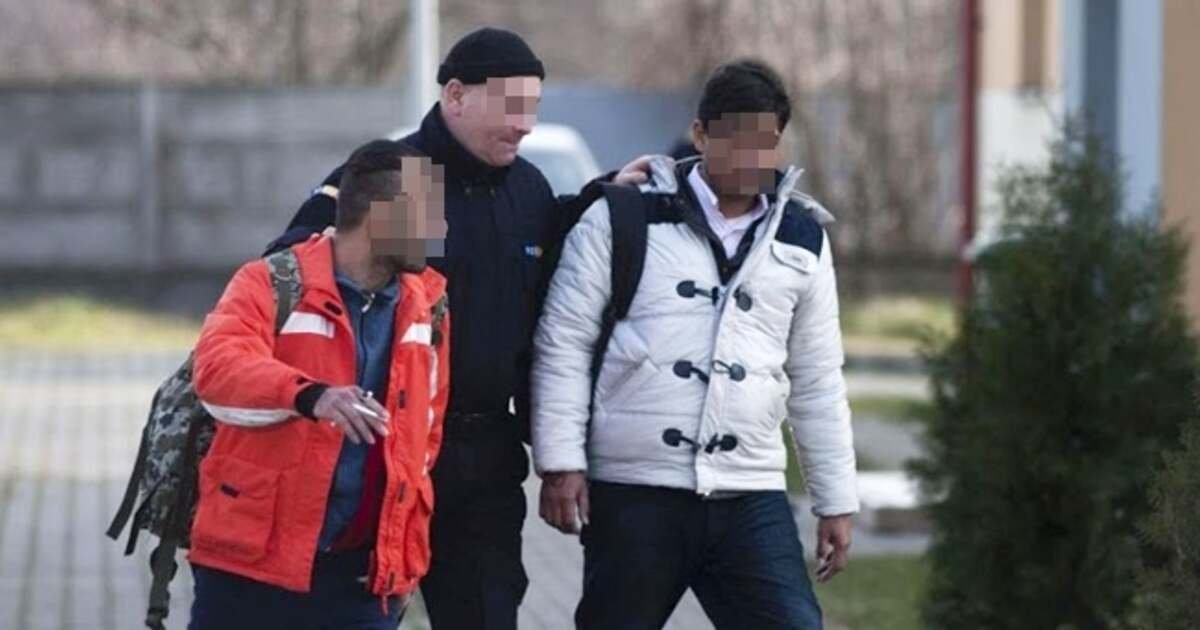 Toager: 11 cetățeni străini prinși după ce au trecut ilegal din Serbia în România, cu ajutorul dronei