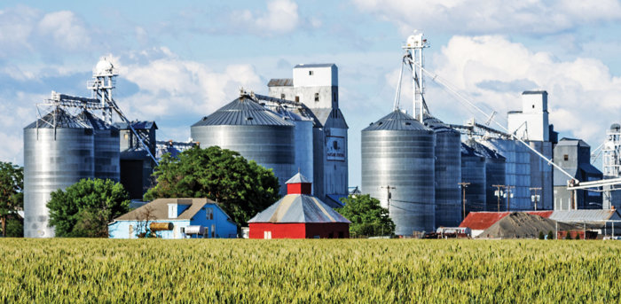 Top 100 companii antreprenoriale din România: Agricola International. Industria alimentară