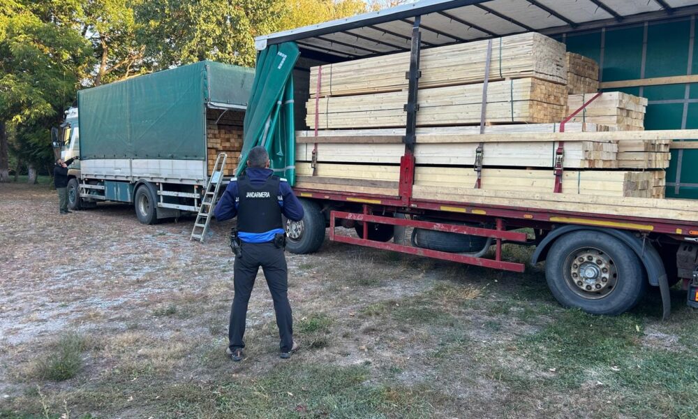 Transport de cherestea cu o cantitate mai mare decât cea înscrisă în documente, depistat de jandarmi, la Brad