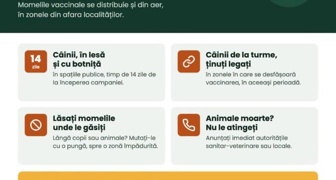 Turda: campanie de vaccinare antirabică a vulpilor, cu momeli din avion; câinii, doar în lesă și cu botniță