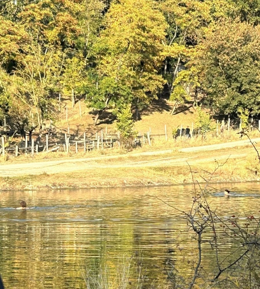Turda: doi localnici, surprinși făcând baie în Lacul Tarzan, în plină lună octombrie
