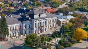 Turda: noi reguli propuse pentru câini și pisici, cu amenzi de până la 1.000 de lei
