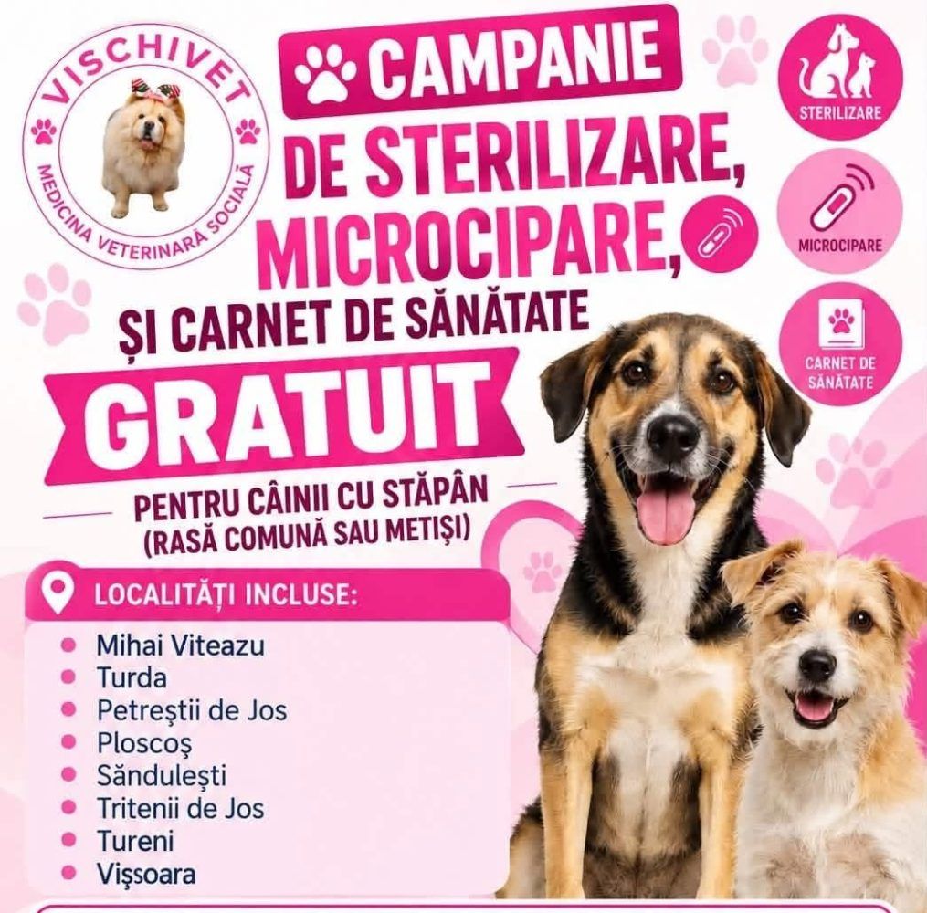 Turda: proprietarii pot beneficia de sterilizare și microcipare gratuite pentru câini