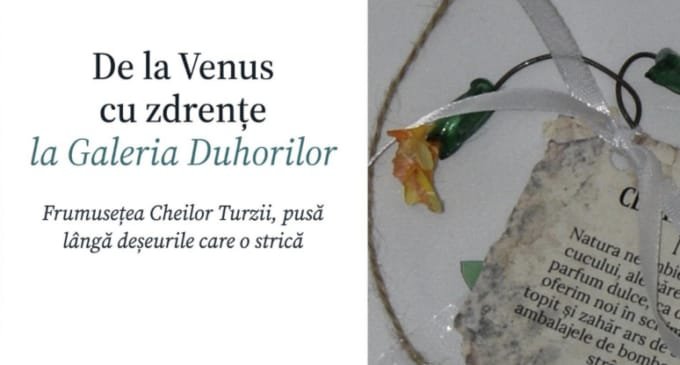 Turda: tinerii au realizat Galeria Duhorilor, care pune frumusețea Cheilor Turzii lângă gunoiul care o strică