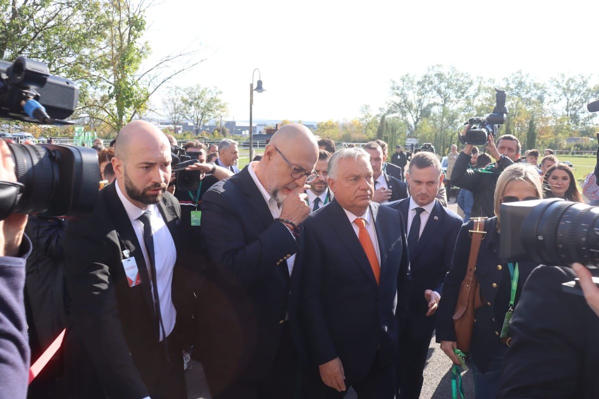 UDMR va vota guvernul lui Luca Niculescu, indiferent dacă e tehnocrat sau format în jurul PSD
