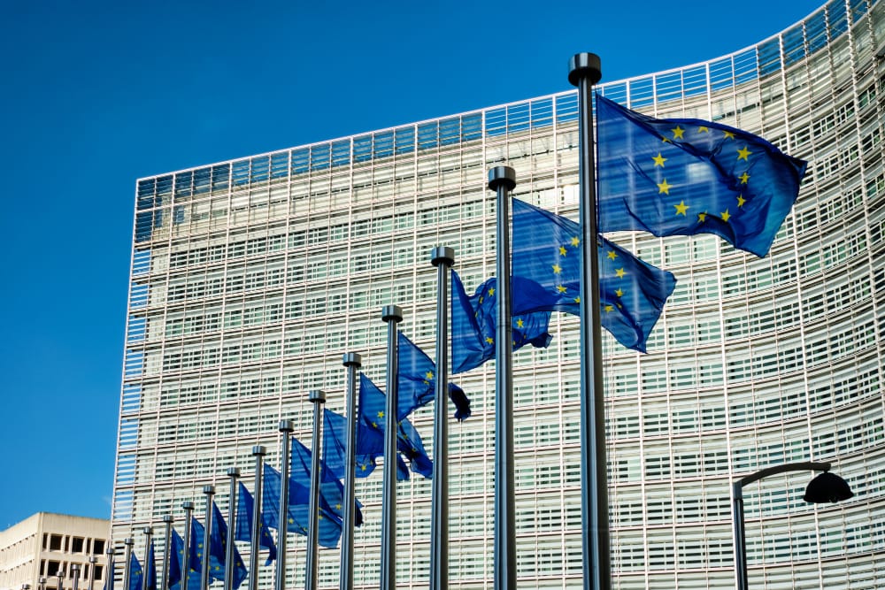 UE schimba regulile pentru cumparaturile online din afara Europei. Taxa de procesare pentru colete si controale vamale m