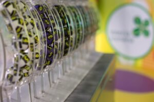 Un jucător a câștigat marele premiu la Joker, peste 1,87 milioane de euro, cu un bilet jucat online