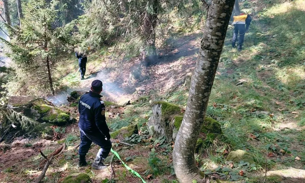 Un singur focar mai arde la Cheile Buții. Intervenții și la Roșcani