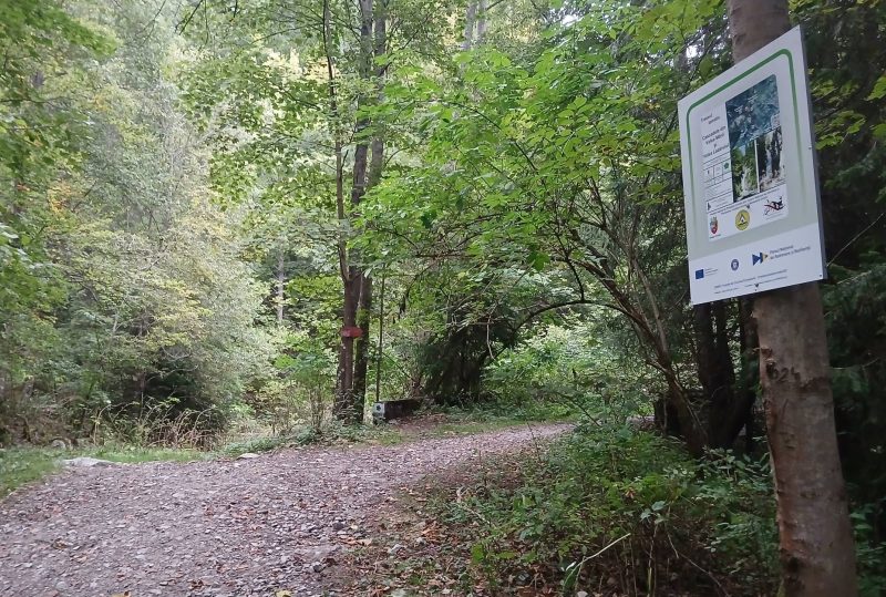 Uricani: investițiile în turism și valorificarea potențialului turistic, în atenția Primăriei orașului
