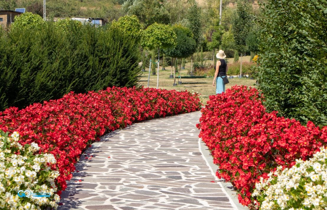 Valuri de un metru de flori: Spectacolul de final estival la I Giardini di Zoe