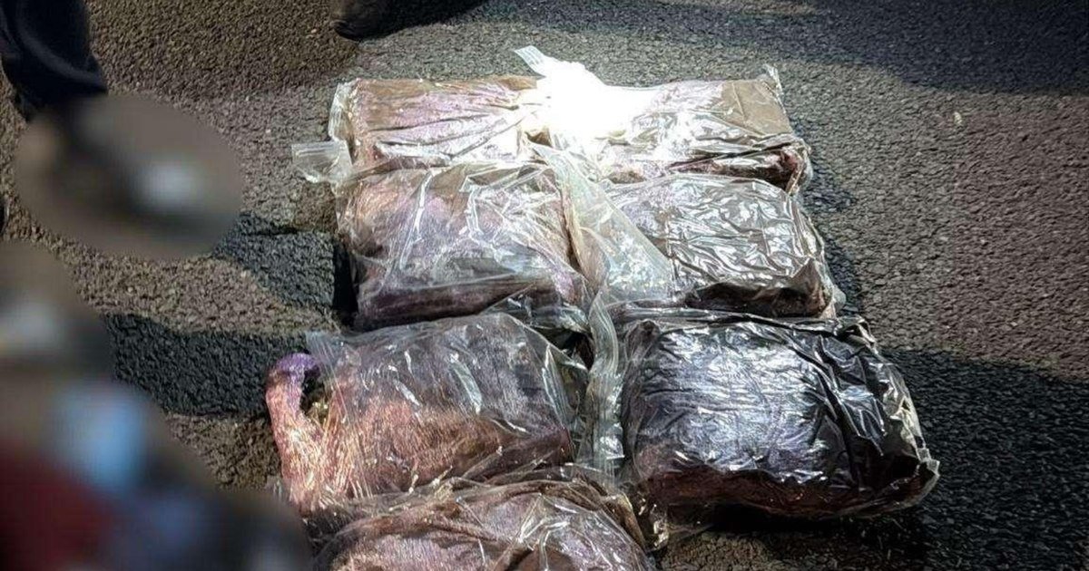Vama Nădlac: tânăr de 21 de ani reținut cu peste 7 kilograme de canabis într-o cursă din Spania