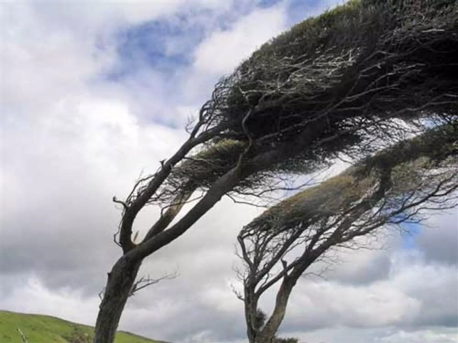 Vânt puternic, ploi și ninsori la munte Informare meteorologică valabilă până miercuri, 14 octombrie