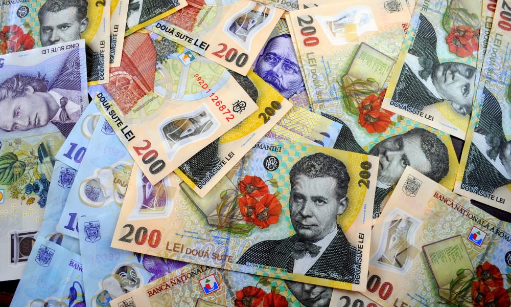 Venituri de peste 10.200 de lei pe gospodărie, dar o mare parte din bani se duce pe cheltuieli curente