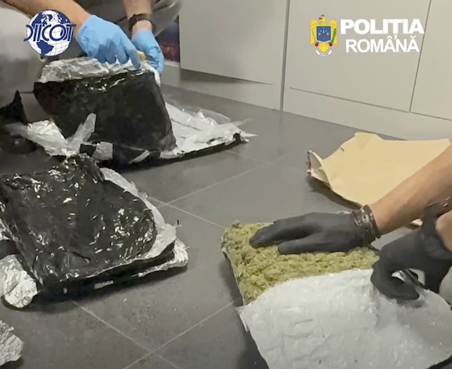 VIDEO / Captură de droguri la Brașov: Tânăr de 22 de ani, prins în flagrant cu 6 kilograme de canabis