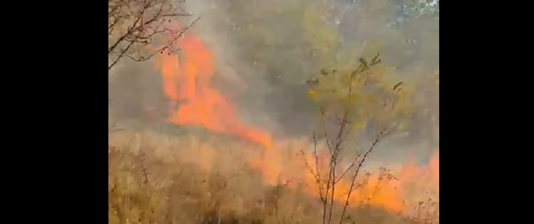VIDEO. Hunedoara: șapte incendii de vegetație și fond forestier, pe circa 25 de hectare