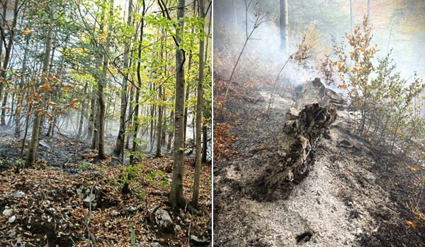 VIDEO Incendiul din Domogled: 641 de aruncări cu apă, evoluția depinde de vreme