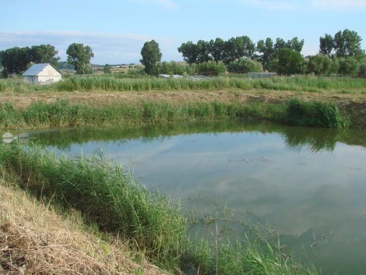 Viscri: proiectul ECO H2O, premiat de Comisia Europeană pentru un sistem inovator de tratare a apelor uzate