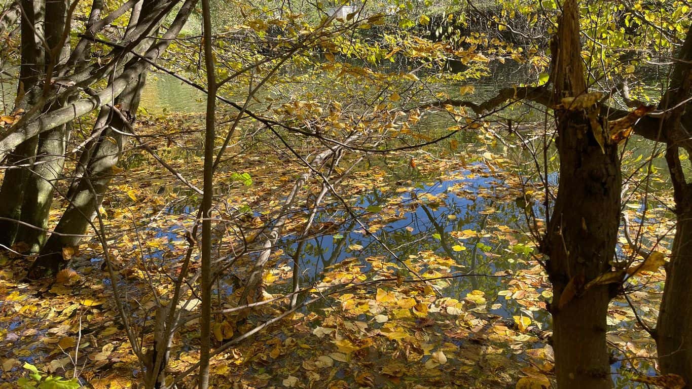 Vremea de weekend în Alba, 2-4 octombrie: maxime peste 20 de grade, nopți reci. Prognoza meteo pe zile, în localități di
