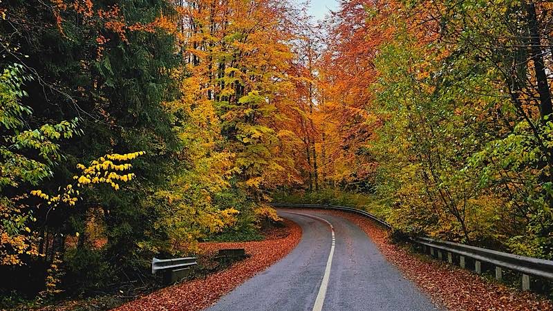 Vremea în Bihor, următoarele patru săptămâni: temperaturi apropiate de normal, precipitații sub nivelul obișnuit