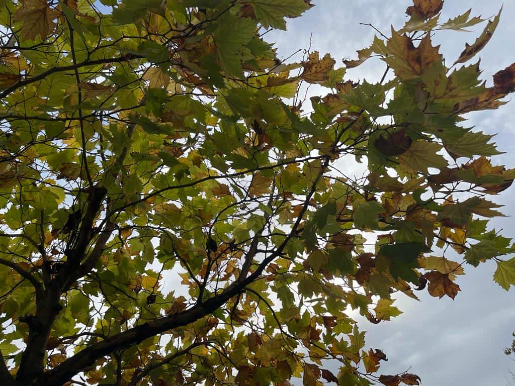 Vremea în Alba, în săptămâna 5 - 11 octombrie: Când se răcește și unde vor fi ploi. Prognoza meteo pe localități
