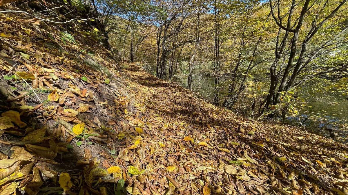 Vremea în România până la început de noiembrie: temperaturi normale, precipitații peste normal în sud