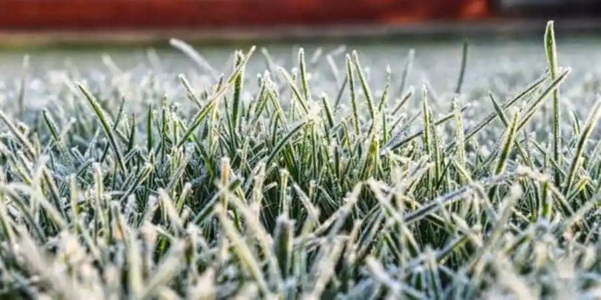 Vremea se răcește în noiembrie: ANM anunță val de frig la nivelul întregii țări