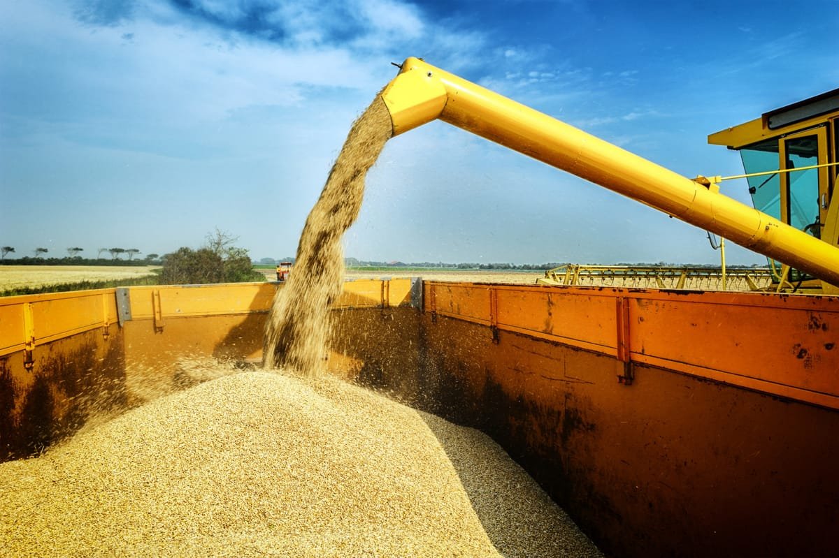 Zelenski cere României și vecinilor să permită tranzitul cerealelor din cauza blocajului din Marea Neagră